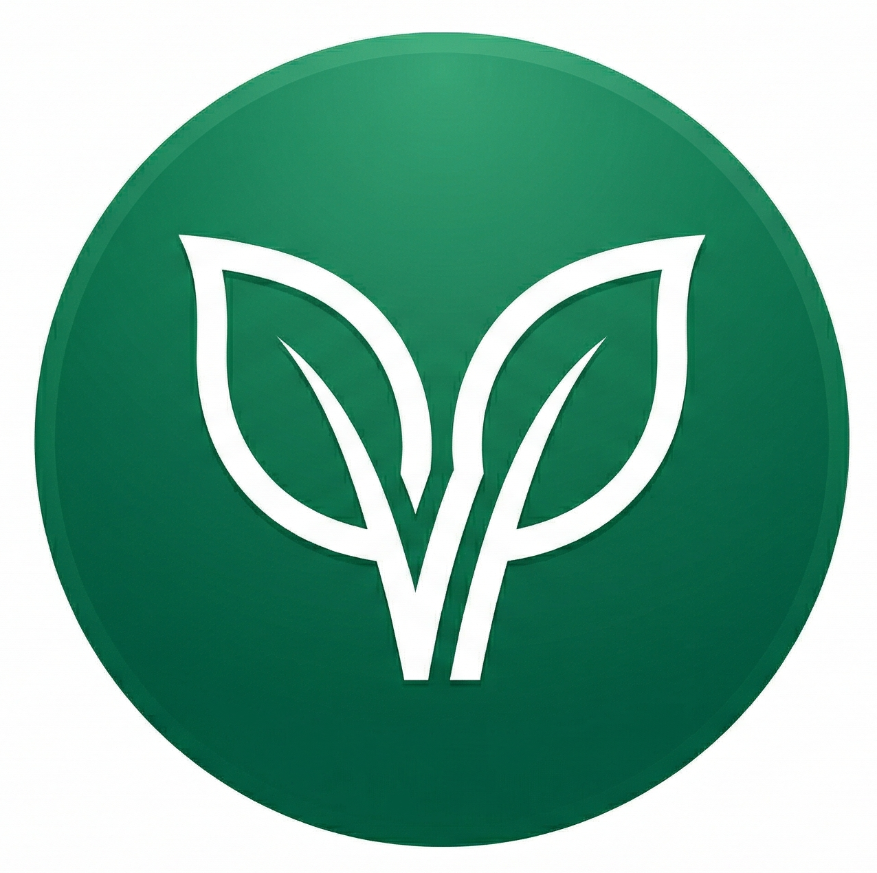 Vayly Logo